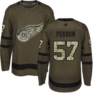 adidas red wings #57 david perron green salute to service stitched youth nhl wholesale jersey